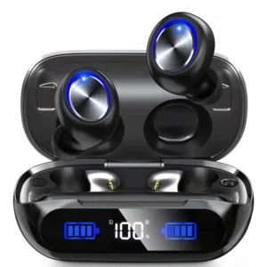 Modèle HO1